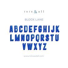 Load image into Gallery viewer, Personalised Clear Flat Pouch in XL