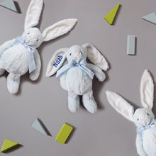 Load image into Gallery viewer, Personalised Tot Bunny in Blue
